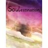 Soulestination Steam CD Key