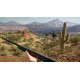theHunter: Call of the Wild - 2022 Edition Steam CD Key