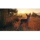 theHunter: Call of the Wild - 2022 Edition Steam CD Key