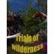 Trials of Wilderness Steam CD Key