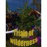 Trials of Wilderness Steam CD Key