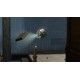 Abode 2 Steam CD Key