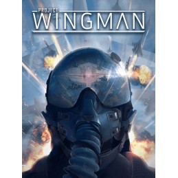 Project Wingman EU Steam CD Key