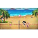 Chibi Volleyball Steam CD Key