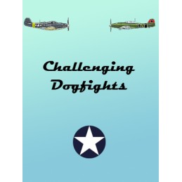 Challenging Dogfights Steam CD Key