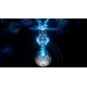 Stellaris - Aquatics Species Pack DLC PC Steam CD Key