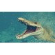 Jurassic World Evolution 2 - Early Cretaceous Pack DLC EU PC Steam Altergift