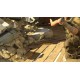 Sniper Elite III PC Steam CD Key