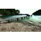 Ultimate Fishing Simulator Gold Edition PC Steam CD Key
