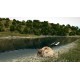Ultimate Fishing Simulator Gold Edition PC Steam CD Key