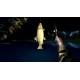 Ultimate Fishing Simulator Gold Edition PC Steam CD Key