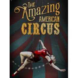 The Amazing American Circus EU Steam CD Key