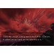 SLG Remix Steam CD Key