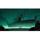 Chorus XBOX One CD Key