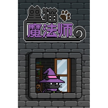The Black Cat Magician Steam CD Key