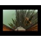 Myst: Masterpiece Edition PC Steam CD Key