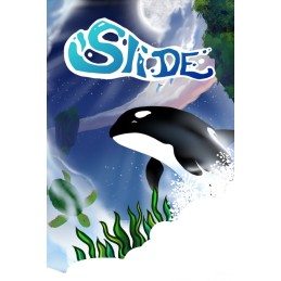 Slide - Animal Race Steam CD Key