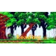 Insects runner Steam CD Key