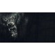 Werewolf: The Apocalypse - Earthblood PC Steam CD Key