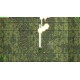 Aircraft War X Steam CD Key