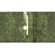 Aircraft War X Steam CD Key