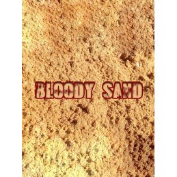 Bloody sand Steam CD Key