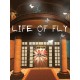 Life of Fly Steam CD Key