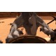 Arena: Blood on the Sand VR Steam CD Key
