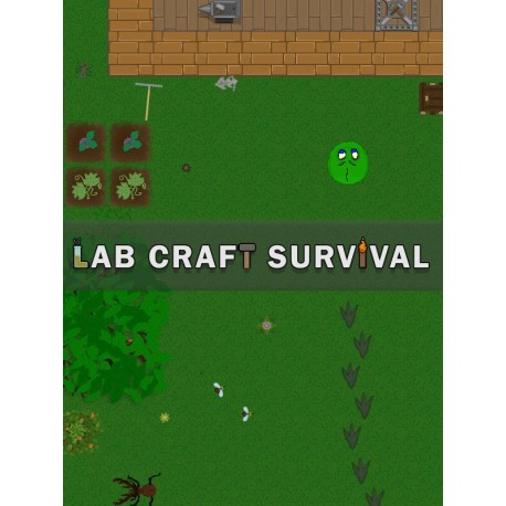 Lab Craft Survival Steam CD Key