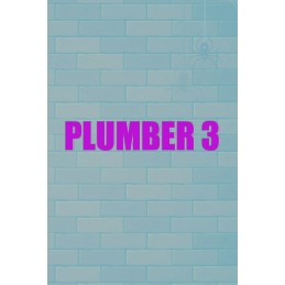 Plumber 3 Steam CD Key