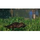 Planet Zoo - Wetlands Animal Pack DLC EU v2 Steam Altergift