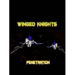 Winged Knights: Penetration Steam CD Key