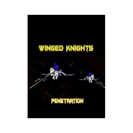 Winged Knights: Penetration Steam CD Key
