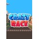 Crazy Race Steam CD Key