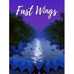 Fast Wings Steam CD Key