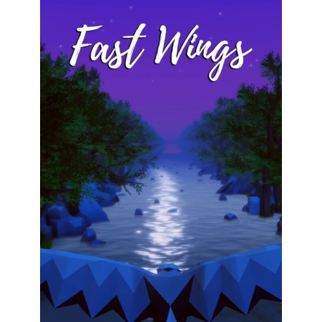 Fast Wings Steam CD Key