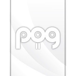 POG 2 Steam CD Key