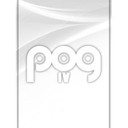 POG 4 Steam CD Key