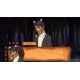 Mysteria of the World: The forest of Death Steam CD Key