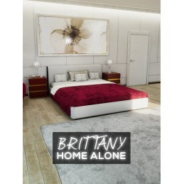 Brittany Home Alone Steam CD Key