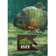 Ultimate Fishing Simulator - Amazon River DLC Steam CD Key