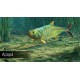Ultimate Fishing Simulator - Amazon River DLC PC Steam CD Key