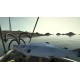 Ultimate Fishing Simulator - Greenland DLC PC Steam CD Key
