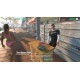 Weed Shop 3 EU PC Steam Altergift