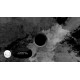 If Found... EU PC Steam CD Key