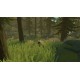 Pine EU Steam CD Key