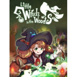 Little Witch in the Woods EU v2 Steam Altergift