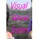 Visual Novel Sisters Steam CD Key