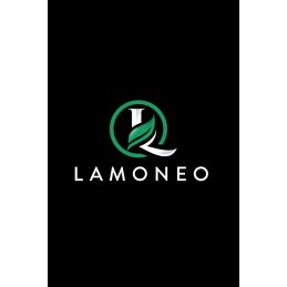 Lamoneo Steam CD Key