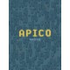 APICO Steam CD Key